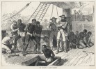 Importing Slaves